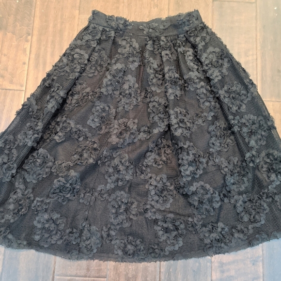 Black Floral Applique Mesh Skirt - Picture 1 of 6